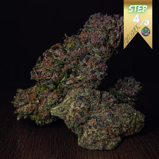 Hi Bros® - Purple Haze